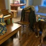 music school ancaster